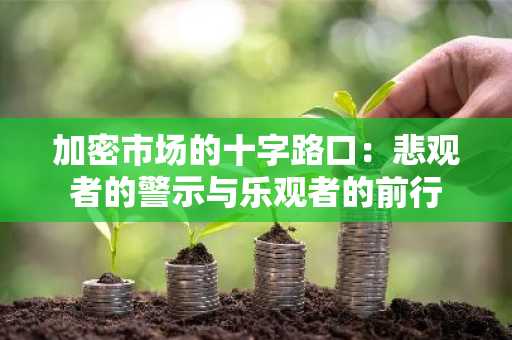 加密市场的十字路口：悲观者的警示与乐观者的前行