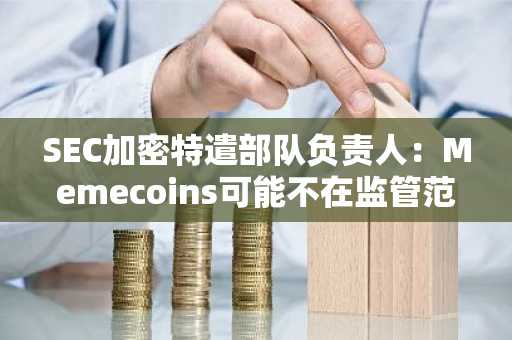 SEC加密特遣部队负责人：Memecoins可能不在监管范围内