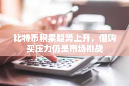 比特币积累趋势上升，但购买压力仍是市场挑战